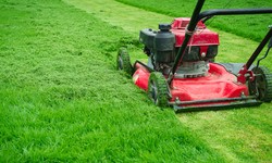 A Step-by-Step Guide to Softscape Landscaping Installation in Riyadh