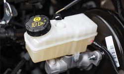 Maintaining the Heartbeat of Your Vehicle: The Importance of Transmission Fluid and Oil Changes