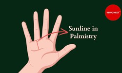 Exploring Sunline Palmistry: Insights into Personality, Success, and Destiny