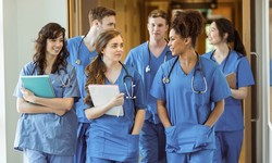 Florida's Healthcare Hub: Unveiling the Best Nursing Colleges