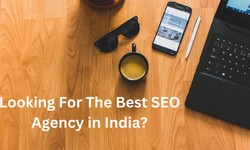 Best SEO Agency in India