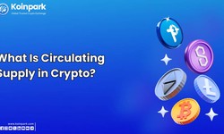 Understanding Cryptocurrency Supplies: Circulating, Total, and Maximum