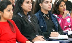 Exploring the Good Reasons to Do a Diploma in Marketing Management in 2024