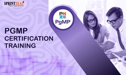 Mastering Program Management: PgMP Certification Course for Executives