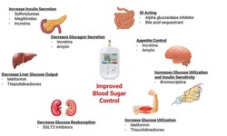 What Hormone is Secreted in Response to Low Blood Sugar Levels?