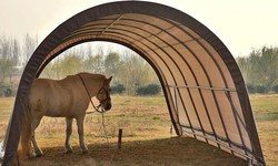 Building the Perfect Cattle Shelter: A Comprehensive Guide