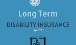 Securing Your Journey: Disability Insurance for Self-Employed Professionals