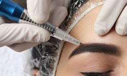 The Ultimate Guide to Permanent Eyebrow Microblading