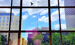 Clear Views, Bright Futures: The Power of NY Window Film