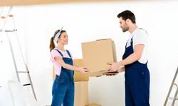 Why Choose Adelaide Movers Packers for Your Furniture Removals in Adelaide?