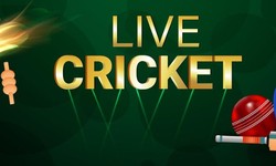 Cricket Betting Made Easy: The Top Platforms for Placing Bets with Tips and Strategies