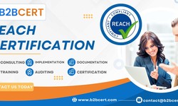 Compliance Strategies for REACH Certification in Botswana