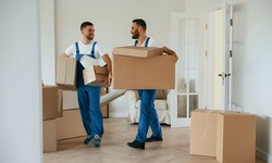 Why Team Removals Stands Out as the Premier Choice for House Movers in New Zealand