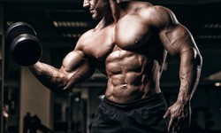 Every Steroid Users Often Buy Nolvadex Online