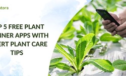 Free Plant Scanner Apps With Expert Plant Care Tips