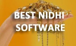 Nidhi software company in Lucknow