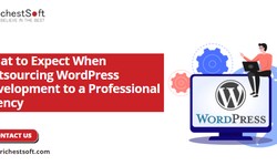 What to Expect When Outsourcing WordPress Development to a Professional Agency