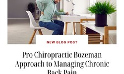 Pro Chiropractic Bozeman Approach to Managing Chronic Back Pain