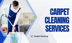 Carpet Cleaning Camperdown: Keeping Your Carpets Fresh and Clean
