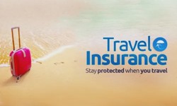 Online Domestic Travel Insurance: Your Shield Against Unexpected Mishaps.