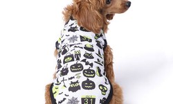 5 Reasons to Invest in Pet Clothing