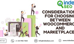 Considerations For Choosing Between WooCommerce And Marketplaces