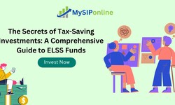 Maximizing Tax Savings: The Case for ELSS Funds