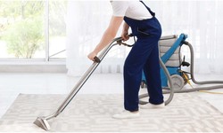 Carpet cleaning Milton can restore the original look of your carpets!
