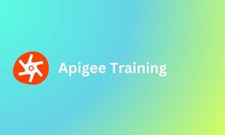 Elevate your career with Zx Academy on Live Apigee Training in Bangalore