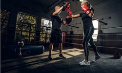 Unleash Your Potential: Boxing Gyms in Mornington