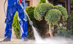 Closter's 2024 Pressure Washer Manual: Cleaning Tips and Tricks