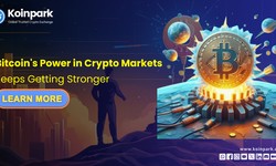 Bitcoin's Power in Crypto Markets Keeps Getting Stronger