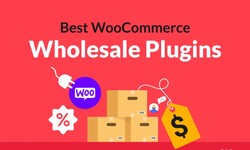 Best Wholesale Pricing For Woocommerce Plugin In 2024