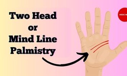 Power of Two Head Lines: What Your Palms Say About You?