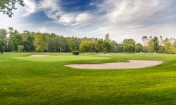 The Rise of Trinity Zoysia: Revolutionizing Golf Course Landscapes