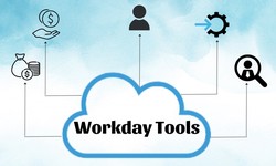 Boost Your Workday AMS Support with 5 Key Tools