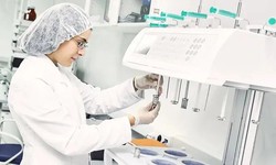 Streamlining Pharmaceutical Production: A Dive into cGMP Media Manufacturing Services and GMP Manufacturing