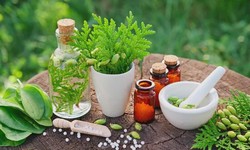 A Close Look at the Most Recommended Naturopath Melbourne
