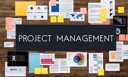 Which Are the Best Project Management Tools and Apps for Effective Collaboration