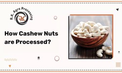 How Cashew Nuts are Processed?