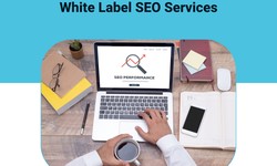 Link building for white label SEO services and agencies by Indeedseo