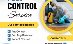 Dacre's Pest Control Services: Reliable Solutions for a Pest-Free Environment in Eight Mile Plains