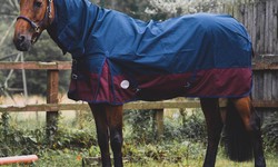 Keeping Your Cool Horse Comfortable: The Science Behind Lightweight Turnout Rugs