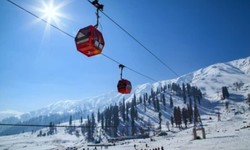 7 Unforgettable Experiences Await on Your Auli Trip from Delhi