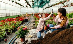 How to Select the Best Nursery in New Hampshire | Tips for Garden Enthusiasts