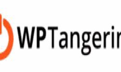 WPTangerine: Your Partner in WordPress Web Development