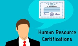 Which HR Certifications are the Best in 2024?