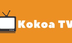 Kokoa TV And Love Have 6 Things In Common