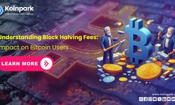 Understanding Block Halving Fees: Impact on Bitcoin Users