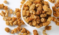 5 delicious and healthy Dried Mulberries recipes